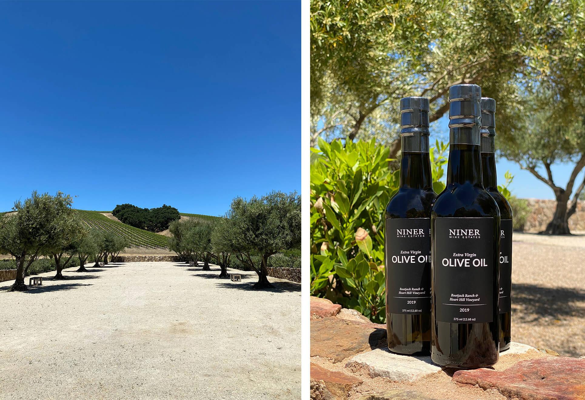 a bottle of olive oil, our olive grove at Heart Hill