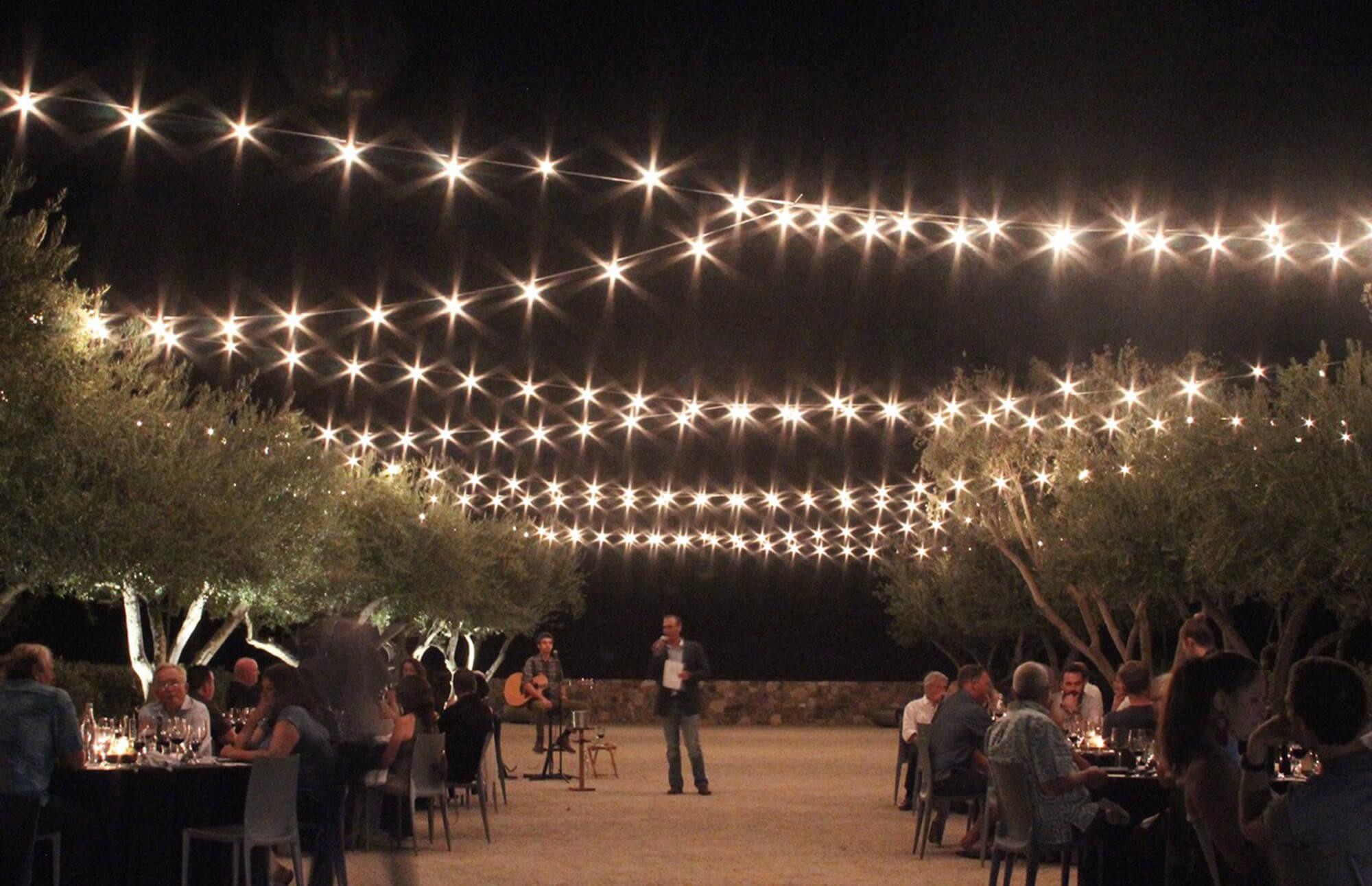 Dinner in the Olive Grove
