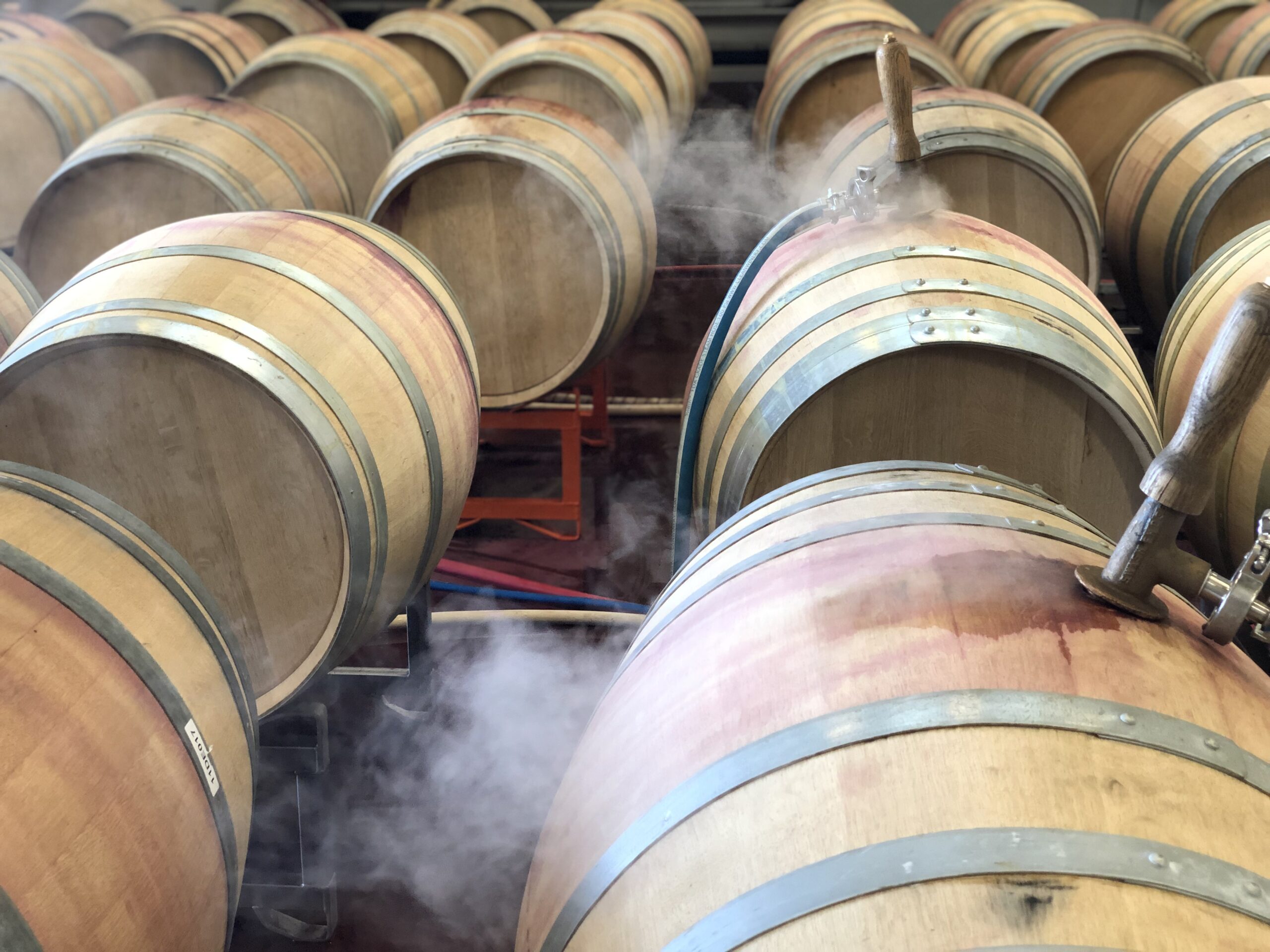 Rows of barrels being steamed in the winery