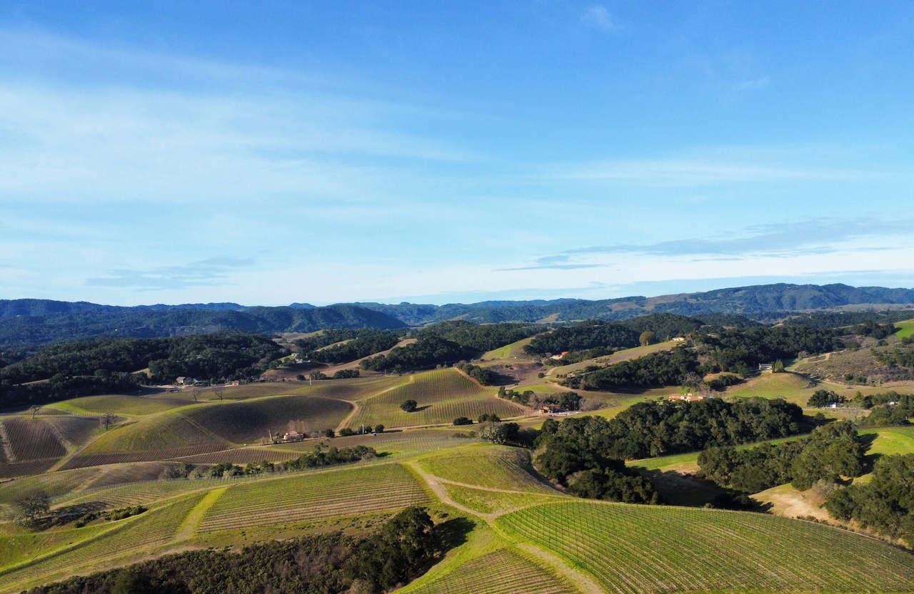 A panoramic view of Paso Robles from the top of Heart Hill Vineyard