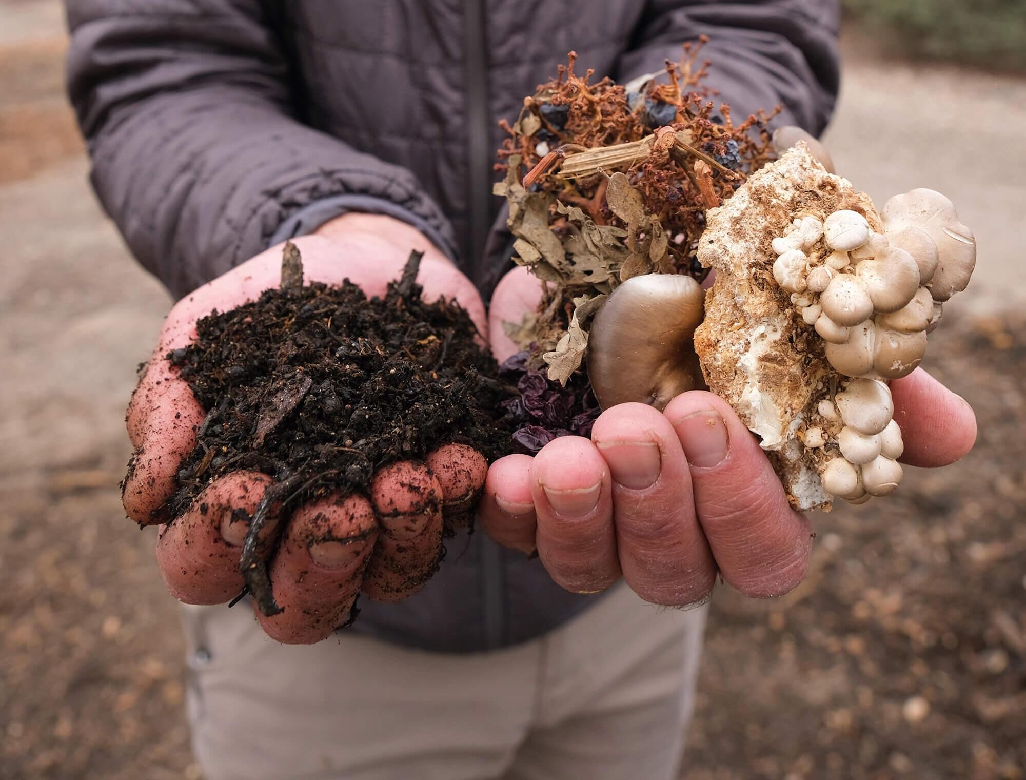 alt="Two hands holding rich, earth toned compost ingredients including grape stems, mushrooms, grapeskins and other materials."
