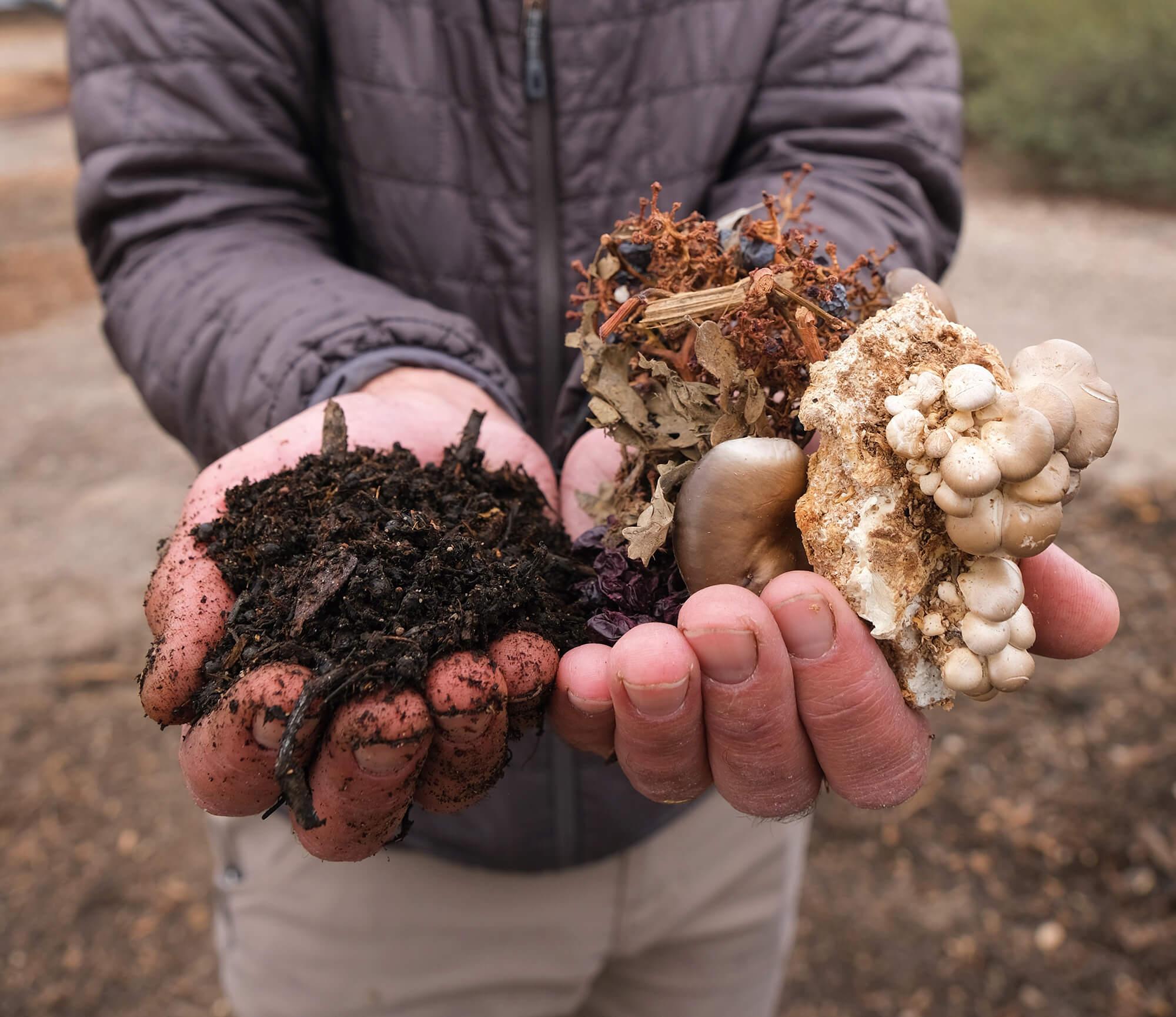 alt="Two hands holding rich, earth toned compost ingredients including grape stems, mushrooms, grapeskins and other materials."