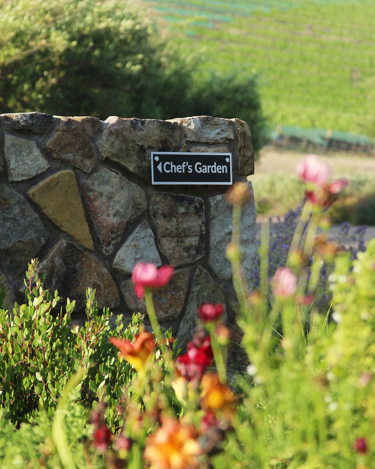Entrance sign to the Niner Chef's Garden