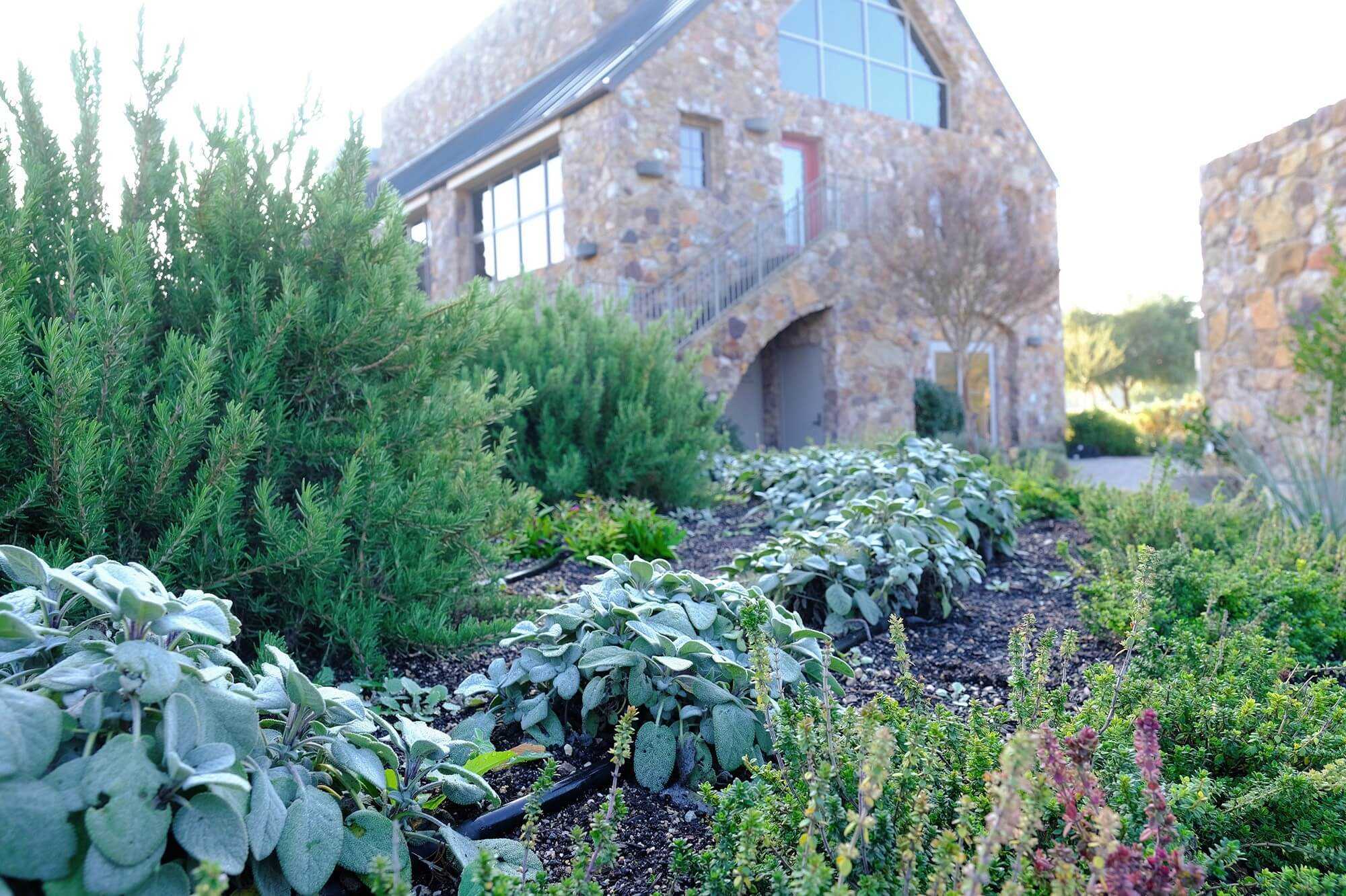 Garden at winter