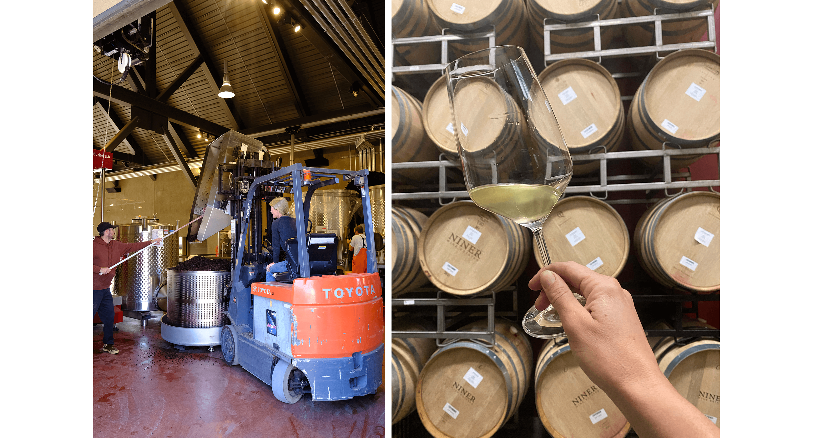 Two photos are shown. On the right, our Winemaker uses a forklift to load a grape press with Pinot Noir. On the right, a glass of Chardonnay is shown against a backdrop of wine barrels.