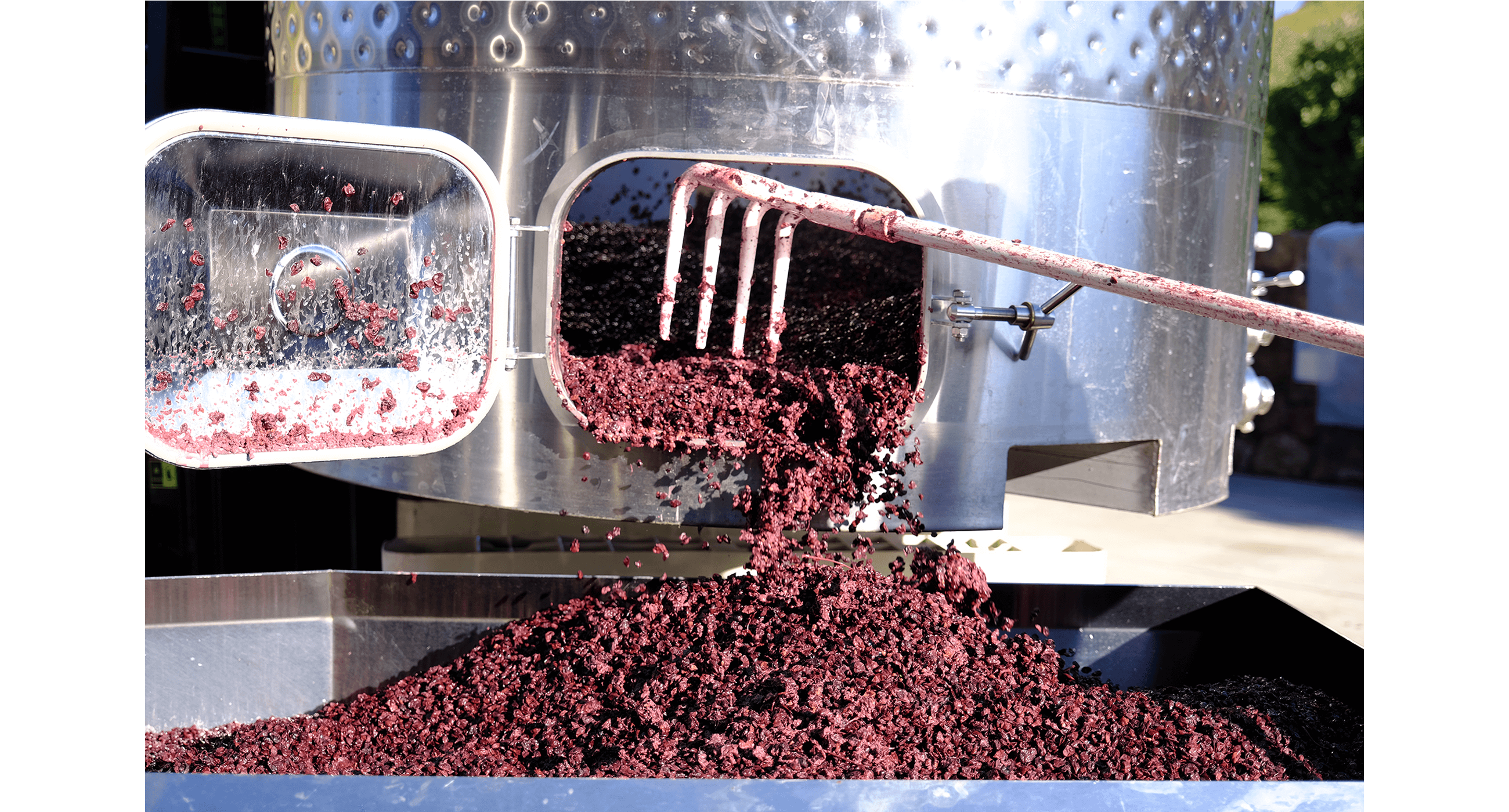 Bright purple grape skins are shown being dug out of a stainless steel tank.