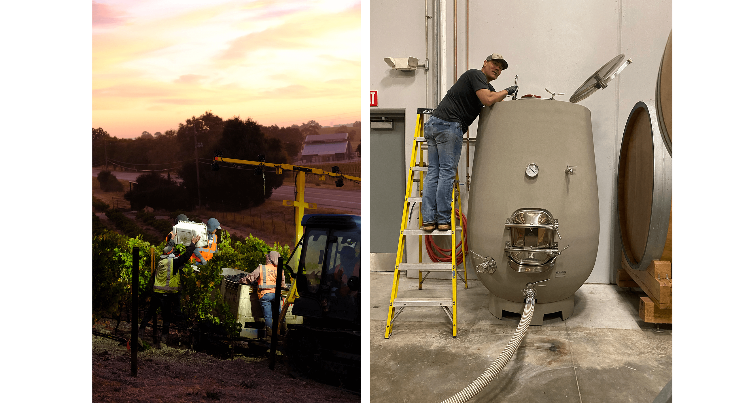 On the left, a crew of vineyard workers gets ready to harvest grapes in the early morning. On the right, a dark grey concrete tank is being inspected by our Winemaker.