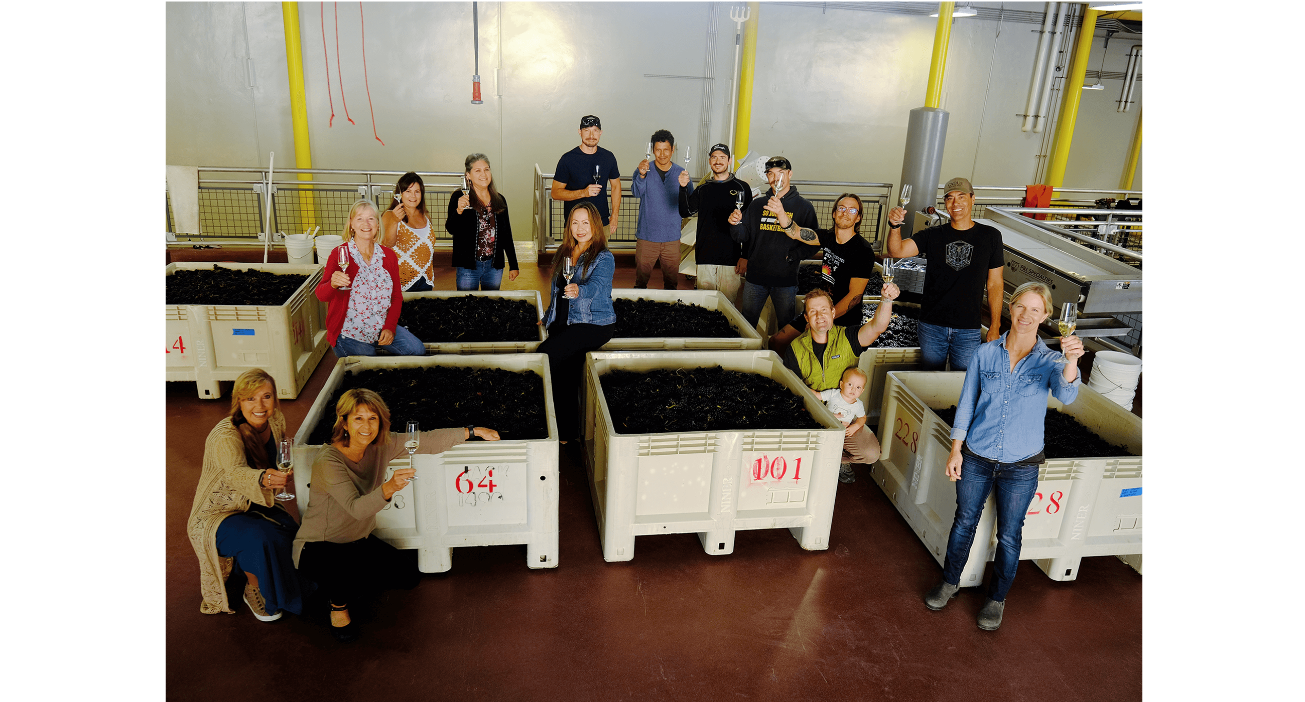 A team photo on the first day of Harvest with bins of Pinot Noir and Meunier grapes for our 2023 Sparkling Wine.