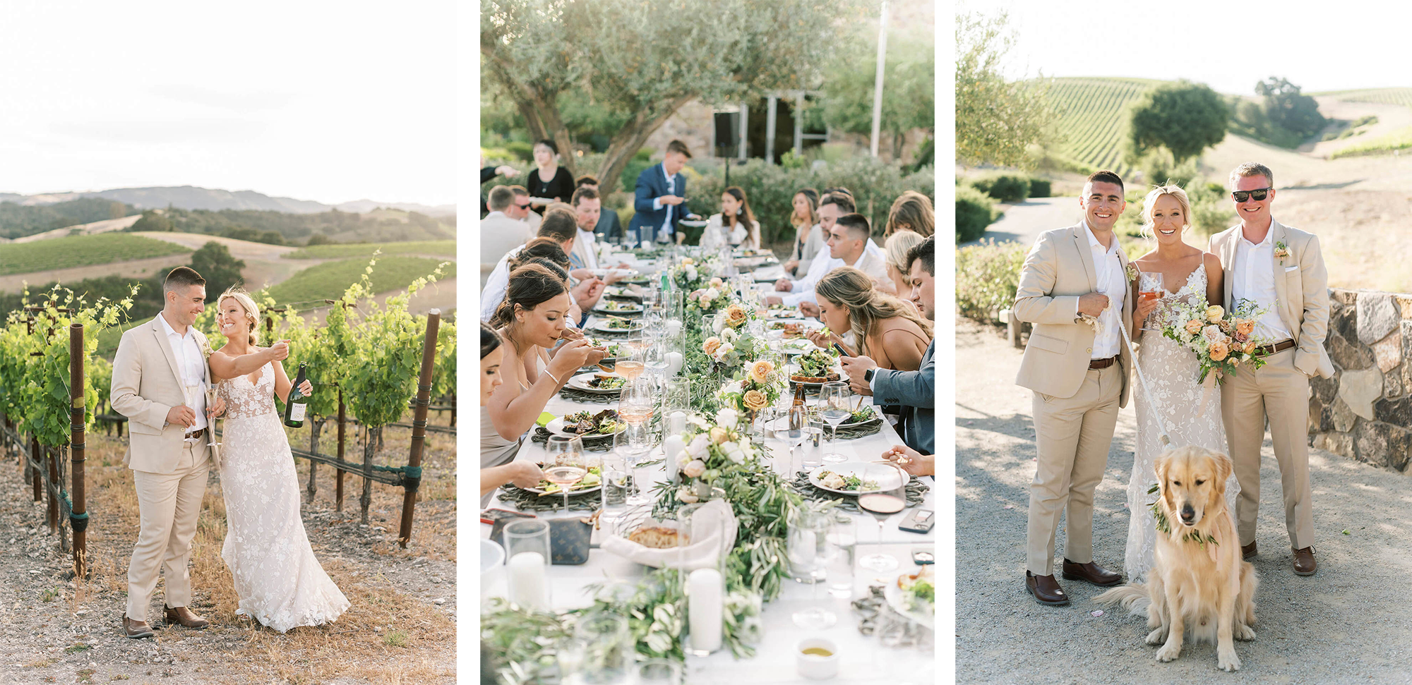 From Left to right: A couple cheers' on top of the vineyard; a view of a tablescape at a wedding; a Bride, Groom, Friend and a Golden retriever