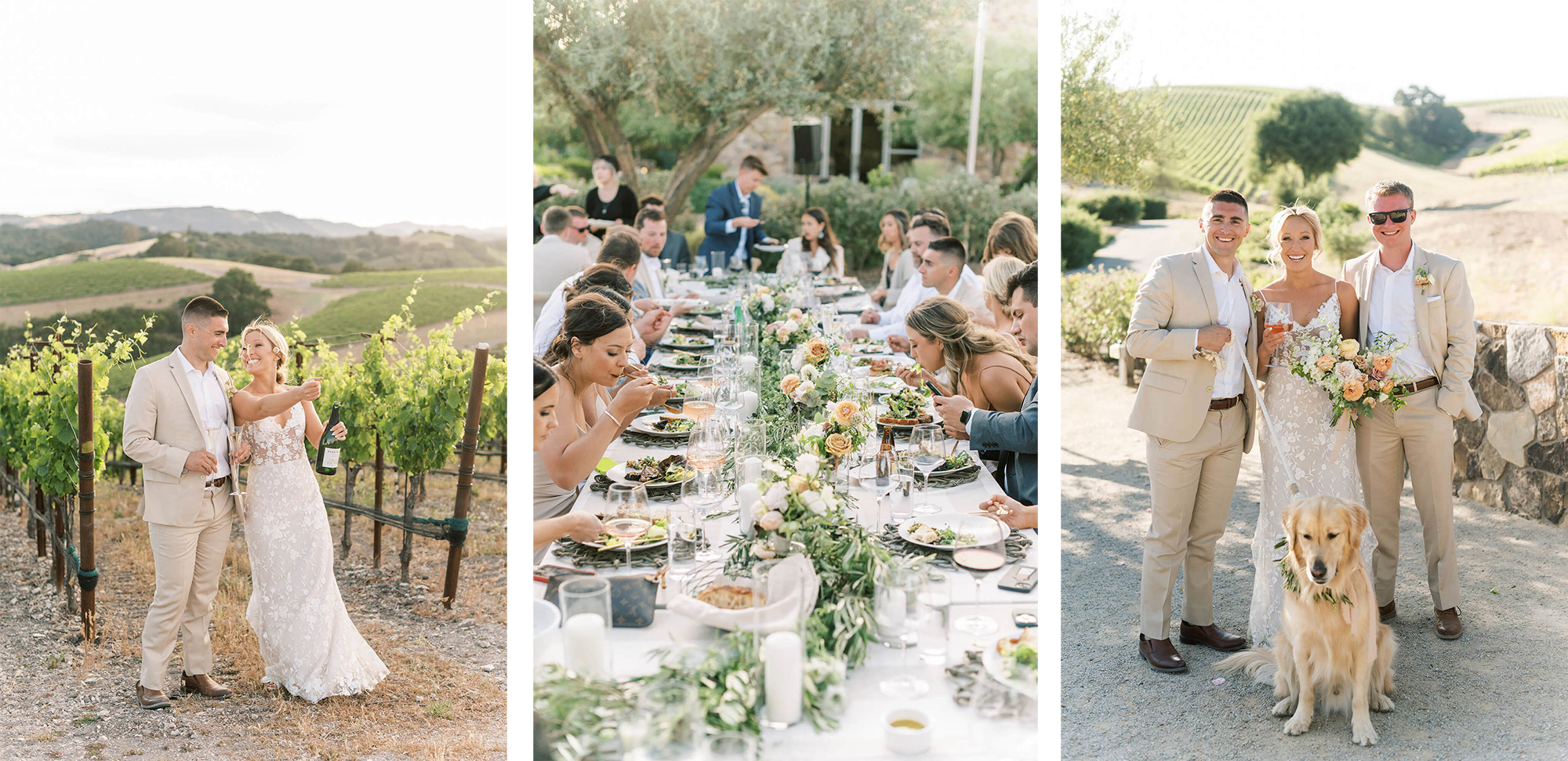 From Left to right: A couple cheers' on top of the vineyard; a view of a tablescape at a wedding; a Bride, Groom, Friend and a Golden retriever